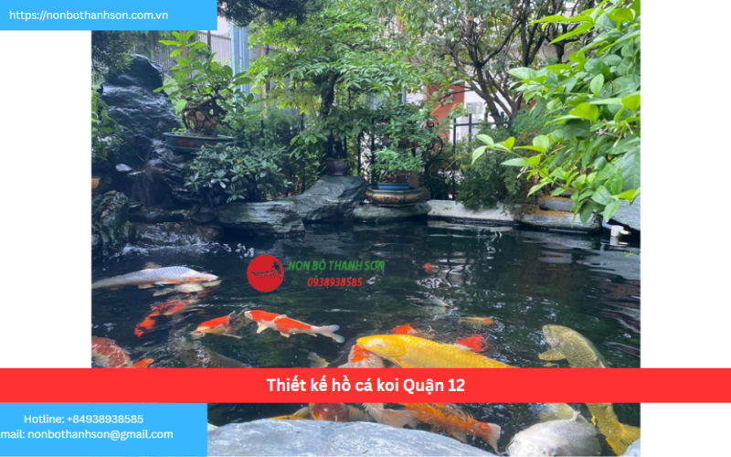 Bảng báo giá thiết kế hồ cá koi Quận 12
