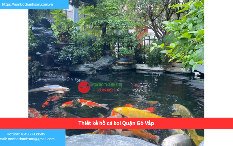 Bảng báo giá thiết kế hồ cá koi Quận Gò Vấp
