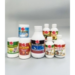 Trọn bộ Thuốc Phòng và Trị bệnh cá Koi đặc biệt hiệu quả, chăm sóc toàn diện sức khỏe cho Koi