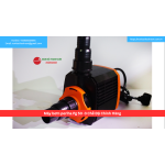 Máy bơm periha Pg 50 -3 Chế Độ Chính Hãng