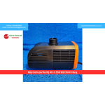 Máy bơm periha Pg 40 -3 Chế Độ Chính Hãng