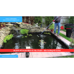 Vệ Sinh Hồ Cá Koi Định Kì Tiêu Chuẩn – Bảo Dưỡng Hồ Cá Koi