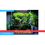 Bảng báo giá thiết kế thi công hòn non bộ Quận 10