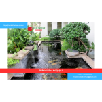 Bảng báo giá thiết kế hồ cá koi Quận 1