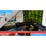 Bảng báo giá thiết kế hồ cá koi Quận 5