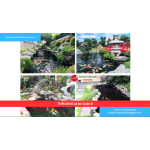 Bảng báo giá thiết kế hồ cá koi Quận 6