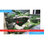 Bảng Báo Giá Thiết kế hồ cá koi Bà Rịa – Vũng Tàu