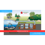 Bảng báo giá thiết kế hồ cá koi Bắc Thái