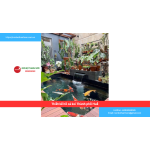 Bảng báo giá thiết kế hồ cá koi Thành phố Huế