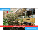 Bảng Báo Giá Thiết kế hồ cá koi Tỉnh Lạng Sơn