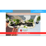 Bảng báo giá thiết kế hồ cá koi Tỉnh Nghệ An