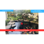 Bảng báo giá thiết kế hồ cá koi tỉnh Quảng Bình