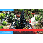 Bảng báo giá thiết kế thi công hòn non bộ Quận 11