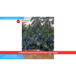 Thiết kế thi công hòn non bộ Tỉnh Thành Tuyên Quang