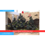 Bảng báo giá thiết kế thi công hòn non bộ Tỉnh Thành Gia Lai