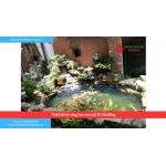 Bảng báo giá thiết kế thi công hòn non bộ TP. Đà Nẵng