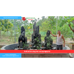 Bảng báo giá thiết kế thi công hòn non bộ Nghệ An