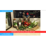 Bảng báo giá thiết kế thi công tiểu cảnh sân vườn Quận Bình Thạnh