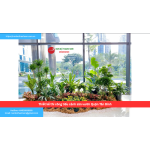 Bảng báo giá thiết kế thi công tiểu cảnh sân vườn Quận Tân Bình