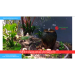 Bảng báo giá thiết kế thi công tiểu cảnh sân vườn Huyện Củ Chi