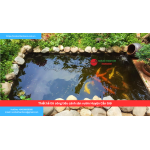 Bảng báo giá thiết kế thi công tiểu cảnh sân vườn Huyện Cần Giờ