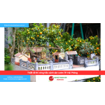 Bảng báo giá thiết kế thi công tiểu cảnh sân vườn TP. Hải Phòng