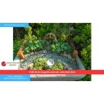 Bảng báo giá thiết kế thi công tiểu cảnh sân vườn Ninh Bình