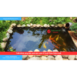 Bảng báo giá thiết kế thi công tiểu cảnh sân vườn TP Huế (Thừa Thiên Huế)