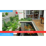 Bảng báo giá thiết kế thi công tiểu cảnh sân vườn Điện Biên