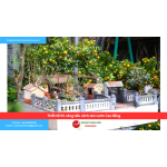 Bảng báo giá thiết kế thi công tiểu cảnh sân vườn Cao Bằng